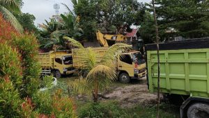 PT AEL Diduga Tanpa Legalitas Jelas, Polda Kalteng Tahan Lima Truk TBS