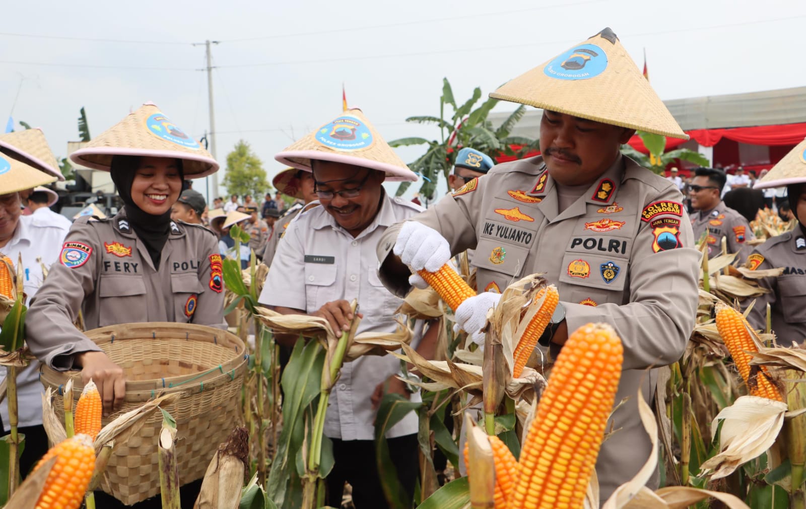 Polres Grobogan Sukses Gelar Panen Raya Jagung di Lahan 274 Hektare Grobogan, 16 April 2025