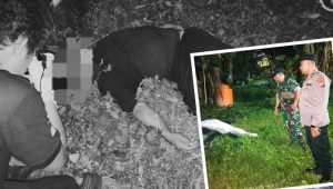 Tewas di Kebun, Sumarno Ditemukan Tak Bernyawa oleh Warga Lebakrejo