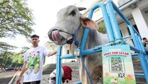 Jumlah Pemeriksaan Hewan Kurban Ditargetkan Naik, Sapi Bantuan Presiden Siap Disembelih di Bandung
