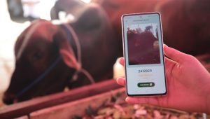 Pastikan Hewan Kurban Aman, DKPP Kota Bandung Libatkan Tim Profesional dan Teknologi Digital