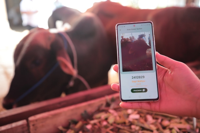 Pastikan Hewan Kurban Aman, DKPP Kota Bandung Libatkan Tim Profesional dan Teknologi Digital