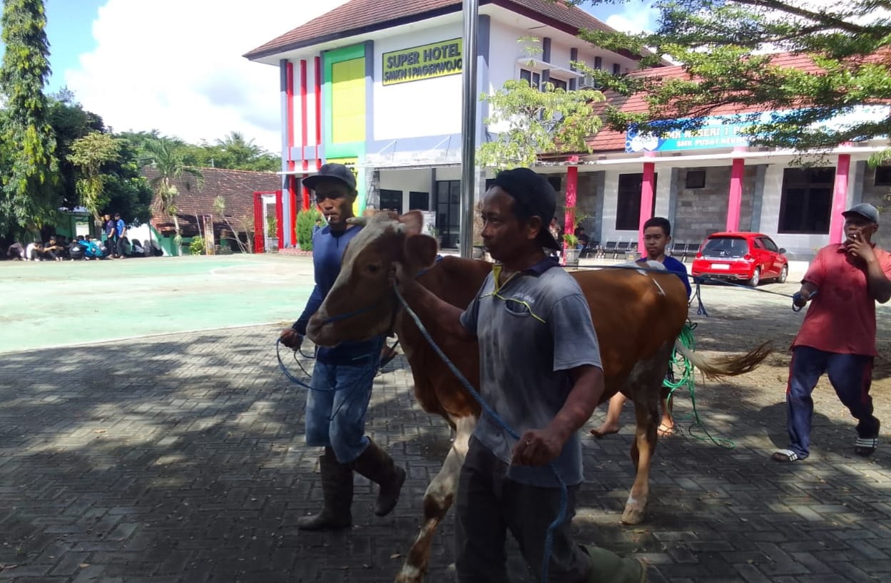 Rayakan Idul Adha 1446H SMKN 1 Pagerwojo Sembelih 3 Ekor Sapi Dan 1Kambing