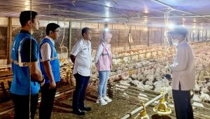 Listrik untuk Rakyat, PLN Dorong Pertumbuhan Konsumsi Listrik hingga 17,78 TWh Sepanjang 2024