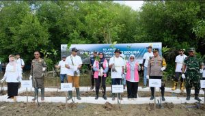 Peringati Hari Lingkungan Hidup Sedunia, Srikandi PT PLN (Persero) UIP JBTB melakukan Penanaman Mangrove di Pesisir Lamongan