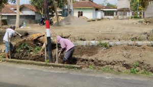 Dorong Ketahanan Pangan Berkelanjutan, PLN UIP JBTB Dukung Pertanian Modern di Boyolali Lewat Program Hidroponik Elektrifikasi “Listrik untuk Rakyat”
