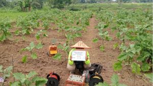 PLN UIP JBTB Dukung Program Irigasi Pertanian Modern di Boyolali Lewat Program Electrifying Agriculture “Listrik untuk Rakyat” Hadirkan Pompa Irigasi Listrik di Desa Ngampon