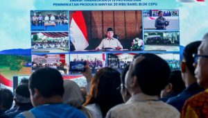 Presiden Prabowo Resmikan 55 Proyek Pembangkit EBT, Termasuk Program Lisdes PLN di Berbagai Wilayah Indonesia bukti PLN untuk rakyat