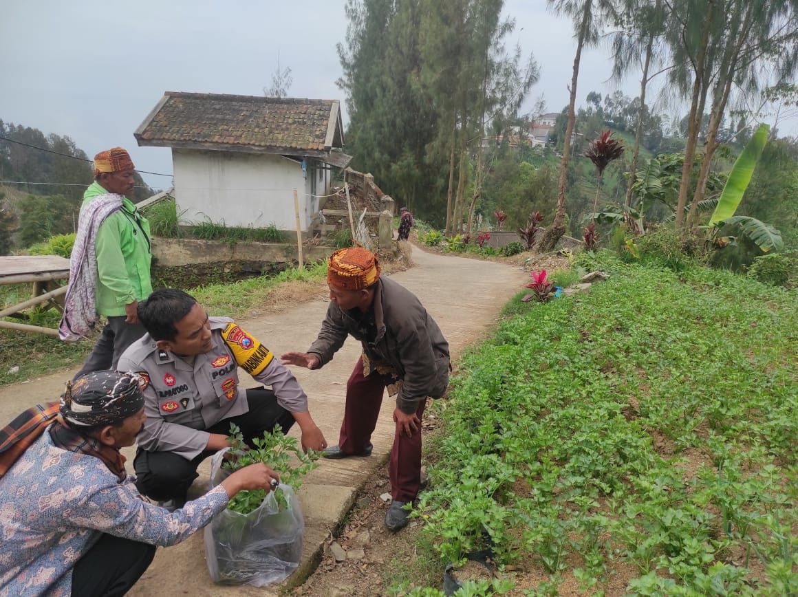 Polisi Probolinggo Lakukan Monitoring Tanaman Seledri di Desa Sariwani  Sukapura 