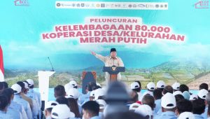 Semarak Kemerdekaan, PLN Dukung Penuh Integrasi Layanan Kelistrikan ke Koperasi Desa Merah Putih, Tingkatkan Pertumbuhan Ekonomi Lokal