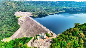 Peningkatan Pendapatan Dorong PLN Masuk Fortune Global 500, Kabar Baik Menyambut Hari Kemerdekaan