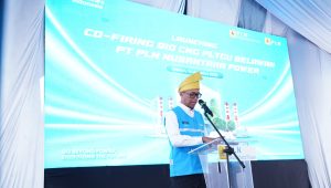 Perdana! Limbah Sawit Jadi Listrik: Kado Spesial PLN untuk HUT RI ke-80