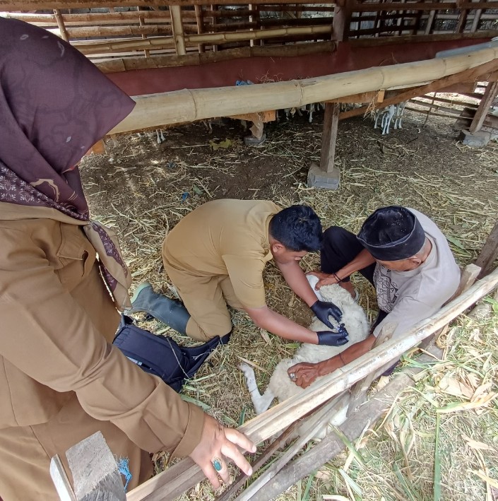 Kades Sumberbulu Hadirkan Dokter Hewan, Pastikan Ternak Warga Terawat