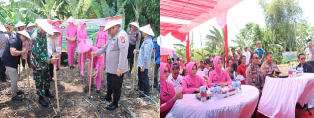 Dukung Swasembada Pangan, Polres Pasuruan Gelar Penanaman Jagung Serentak Kuartal IV di Desa Martopuro