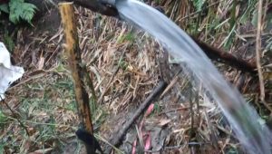 PLN Hadir untuk Rakyat: Lewat Program “Menjaga Air Bumi untuk Bumi”, PLN UIP JBTB Alirkan Harapan di Desa Jelok, Kecamatan Cepogo, Kab. Boyolali