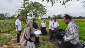 Perkuat Kepastian Hukum Aset Negara, PLN UIP JBTB Terima Sertipikat HGB Jalur SUTET 500 kV Ungaran–Pedan di Kabupaten Klaten