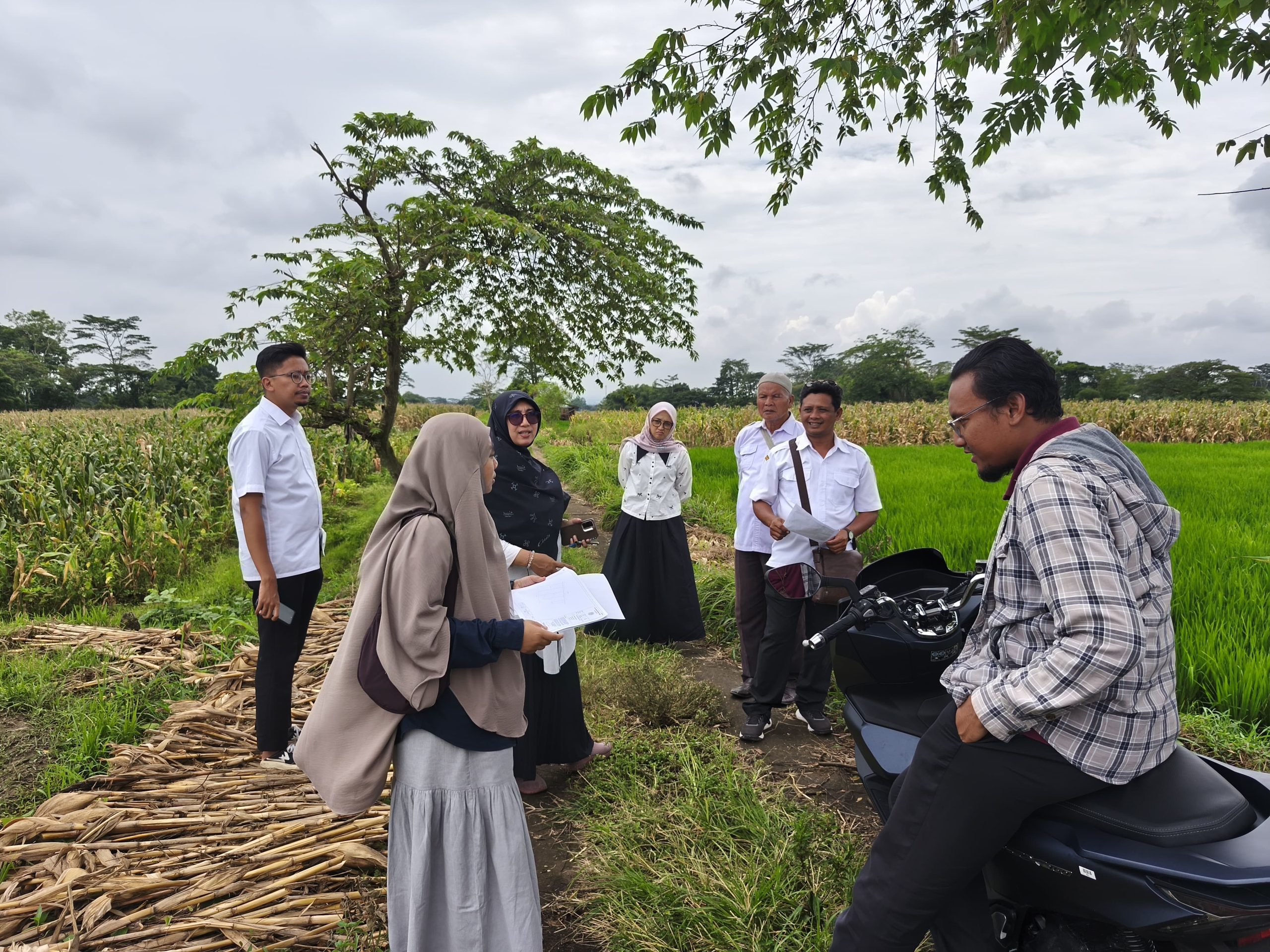 Perkuat Kepastian Hukum Aset Negara, PLN UIP JBTB Terima Sertipikat HGB Jalur SUTET 500 kV Ungaran–Pedan di Kabupaten Klaten