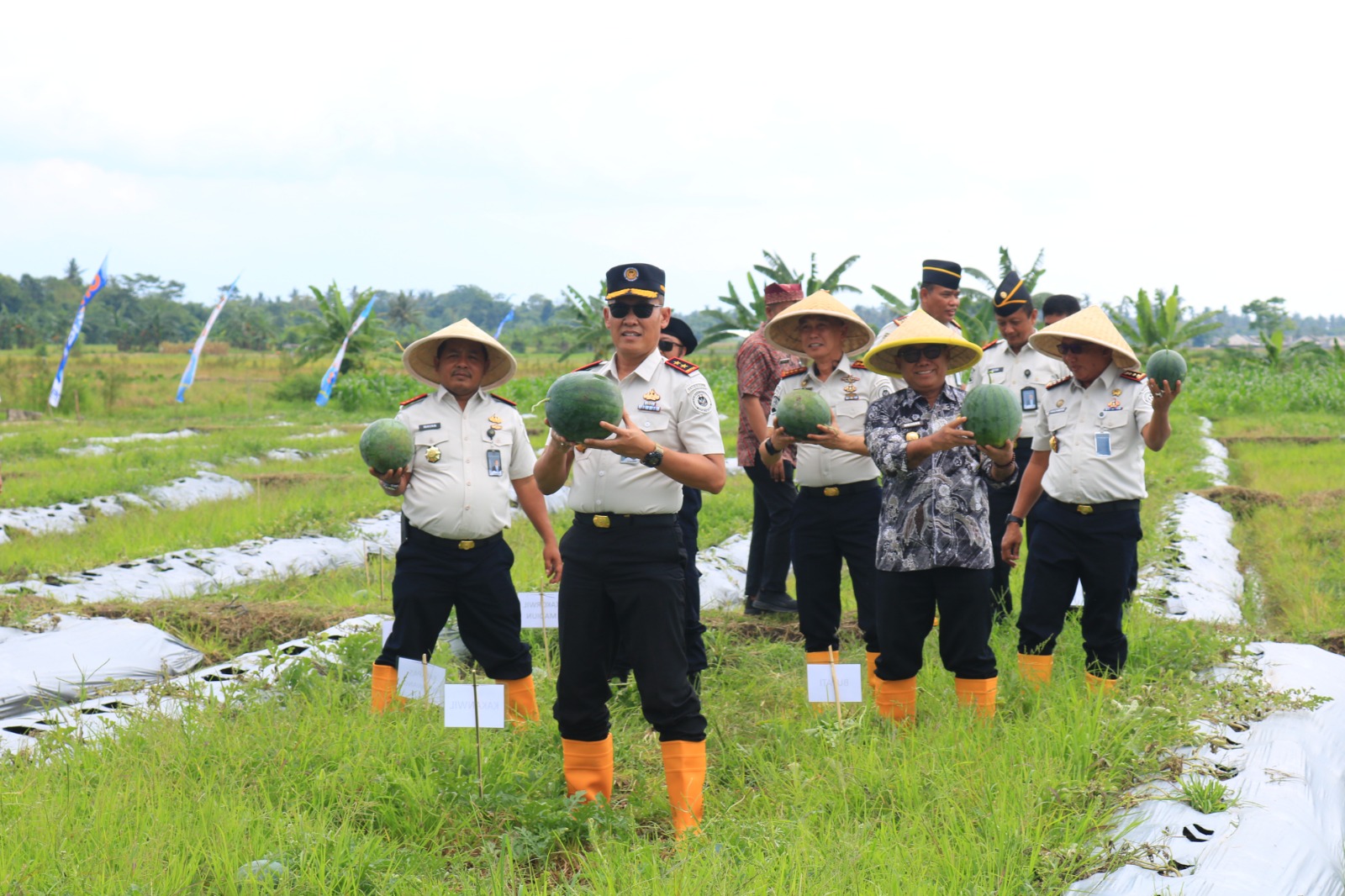 Panen Raya di Lapas Banyuwangi Hasilkan 3 Ton Semangka, Sebagian Hasil Penjualan Akan Disumbangkan Untuk Bencana Sumatera