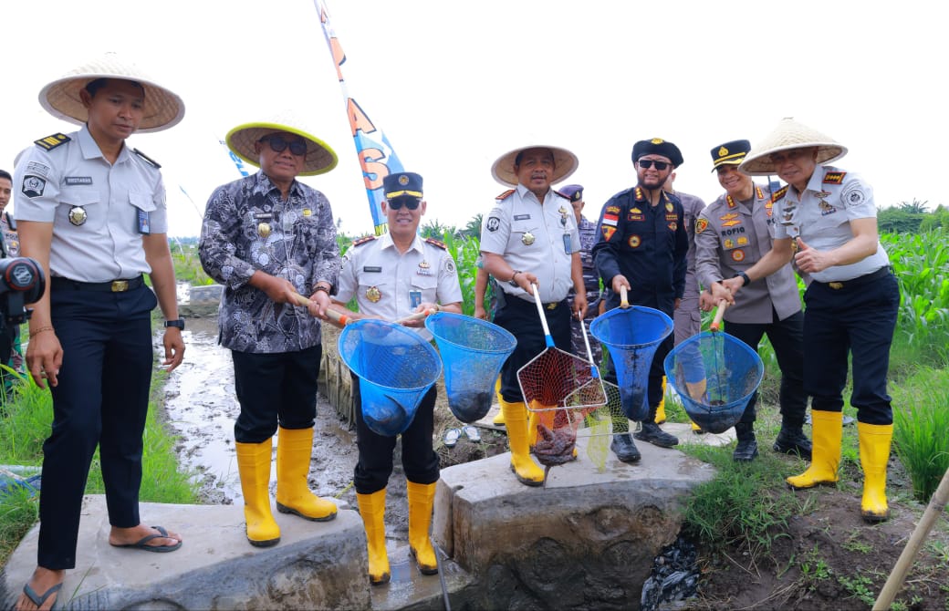 Wujudkan Ketahanan Pangan, Lapas Jember Ikuti Panen Raya Serentak