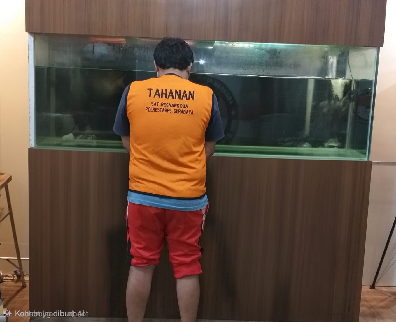 Pengedar Ganja Surabaya Diamankan, Satresnarkoba Polrestabes Surabaya Temukan Paket Siap Edar di Dua Lokasi