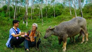 BRI Salurkan Rp107,8 Miliar KUR di Cibadak, Ribuan UMKM Dapat Dukungan Modal