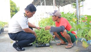 Dari Balik Jeruji Jadi Produktif: Kembali Lapas Pemuda Madiun Panen 40 Kg Kangkung