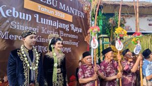 “Petik Tebu Manten” Pertanda Awal Giling PT SGN PG Djatiroto Dimulai, Harapan Penuhi Target