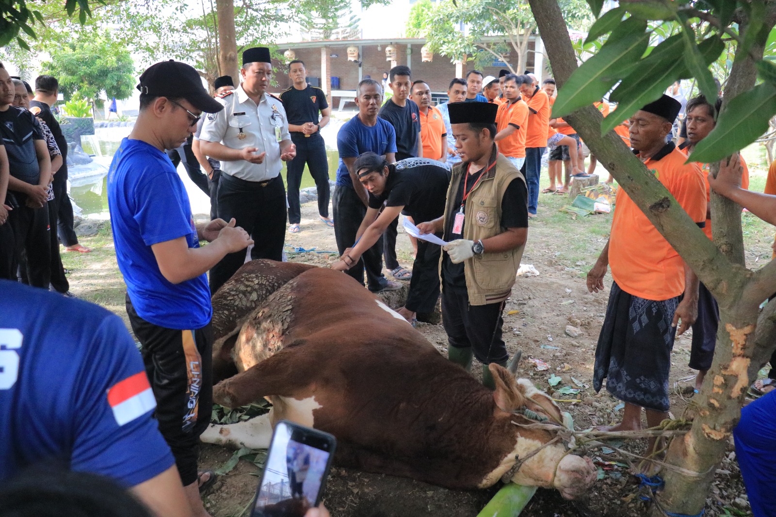 Kebersamaan Idul Adha di Lapas Pemuda Madiun, Petugas Kompak Gotong Royong Olah Hewan Kurban