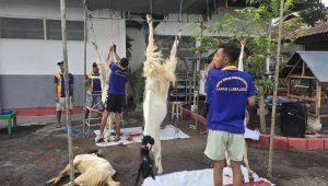 Tanamkan Kepedulian Sosial, Lapas Lumajang Libatkan Warga Binaan dalam Kegiatan Qurban
