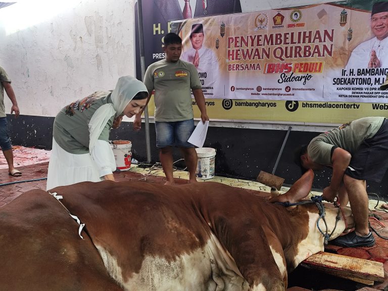 Bambang Haryo Salurkan Ratusan Sapi Kurban, Libatkan Ojol hingga Nelayan