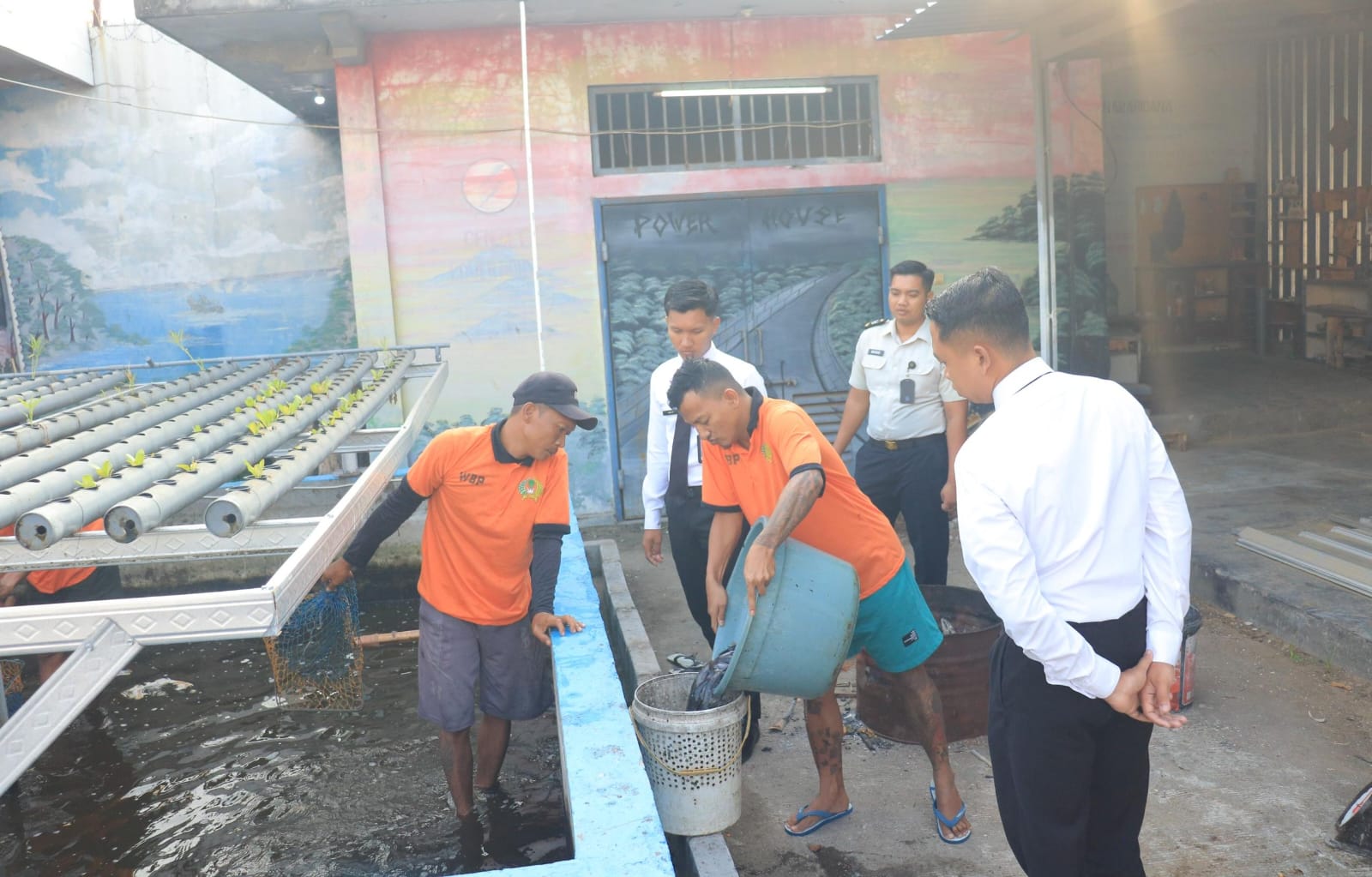 Budidaya Berbuah Hasil, Lapas Pemuda Madiun Panen 60 Kg Ikan Lele