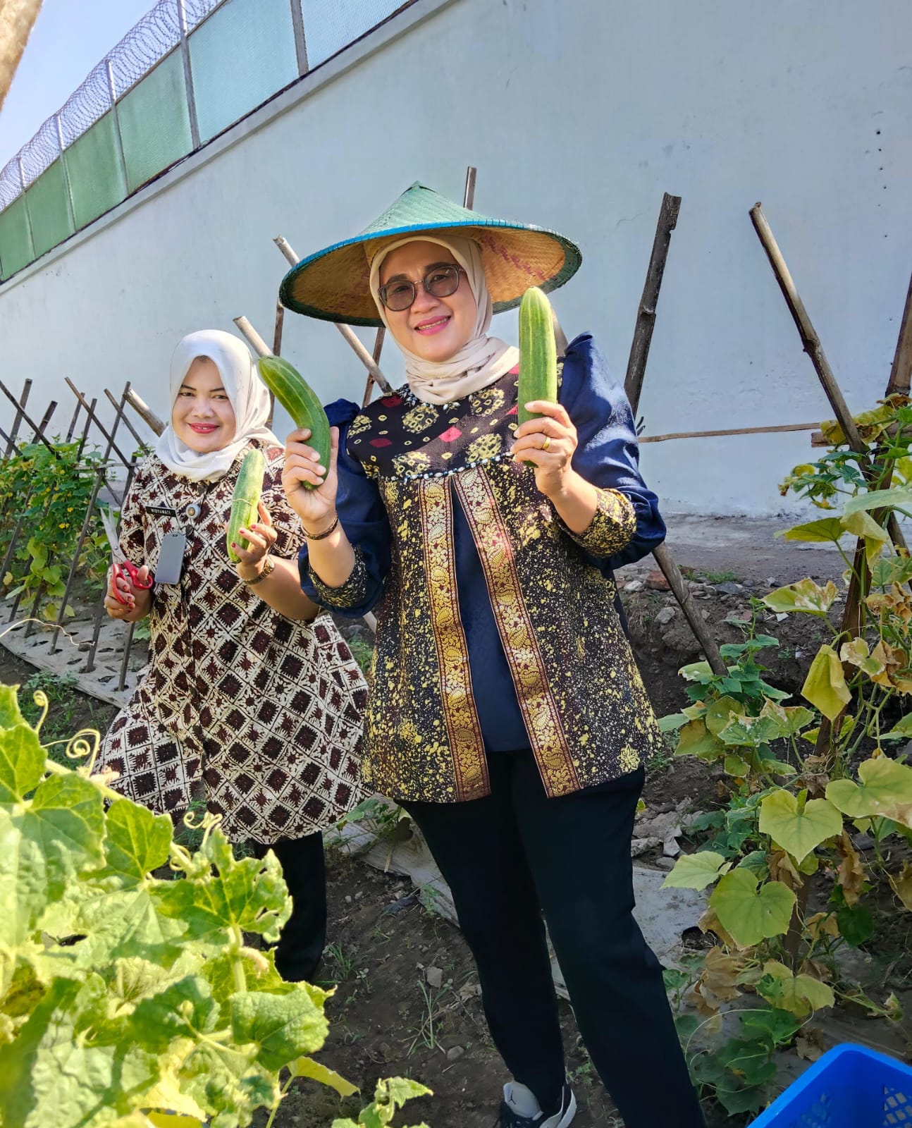 Panen Timun Melimpah, Lapas Kelas I Madiun Optimalkan Pembinaan Berbasis Pertanian
