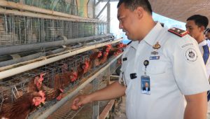 Perintah Menteri Imipas Diimplementasikan, Lapas Pemuda Madiun Maksimalkan Lahan Idle untuk Ketahanan Pangan