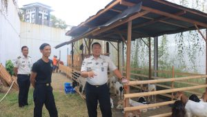 Dari Semak Jadi Ternak: Lapas Pemuda Madiun Sulap Lahan Terbengkalai Menjadi Sentra Ketahanan Pangan
