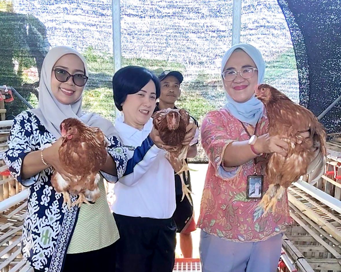 Dukung Kemandirian Melalui Ketahanan Pangan, Lapas I Madiun Dorong Budidaya Ayam Petelur Warga Binaan