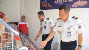 Warga Binaan Lapas Blitar Berikan Pemahaman Budidaya Ayam Petelur