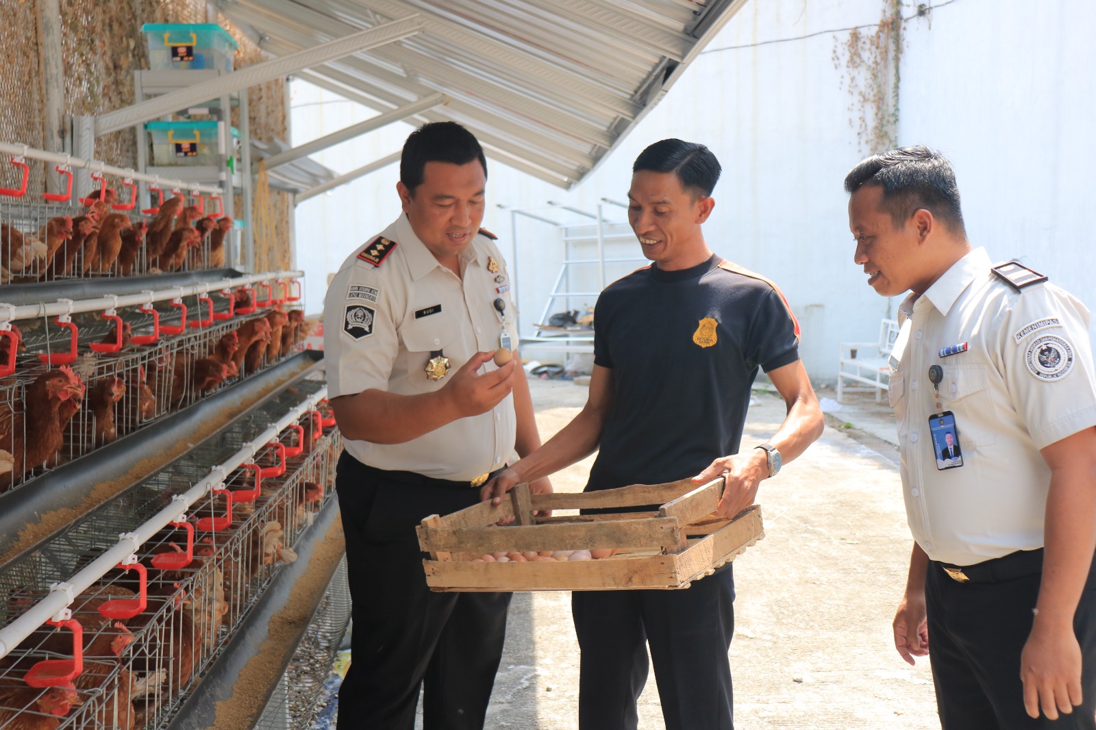 Panen Perdana Kian Dekat, Kalapas Tinjau Ayam Petelur Mulai Berproduksi, Siapkan Manajemen Pengelolaan hingga Pemasaran Hasil Panen