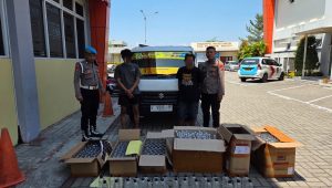 Satresnarkoba Polres Gresik Sita Ratusan Botol Arak Bali, Dua Orang Diamankan