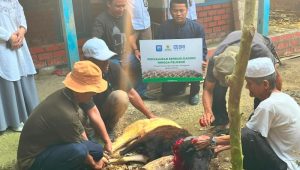 Zakat Pengguna BRImo Disalurkan Jadi Daging untuk Warga Desa Ciririp Purwakarta