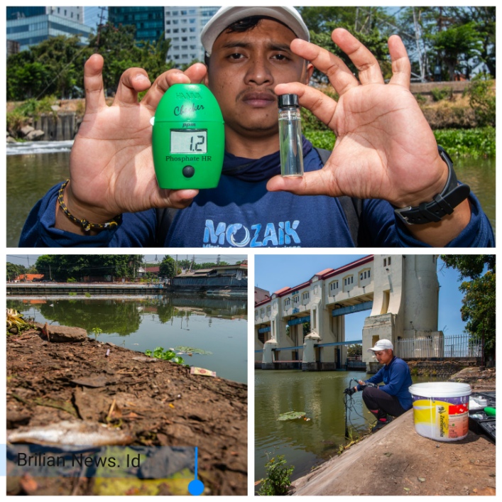 Kematian Ikan Massal di Sungai Jagir, Ecoton Temukan Fosfat Hingga 6 Kali Baku Mutu