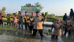 BHS Apresiasi Petani Wonokalang Bisa Tiga Kali Panen Padi Setahun