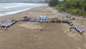 Selamatkan Ekosistem Pesisir, DLH Jatim Tanam 1.200 Cemara Laut di Tiga Pantai Trenggalek